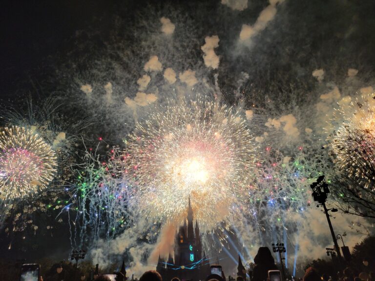 Disney World Fireworks
